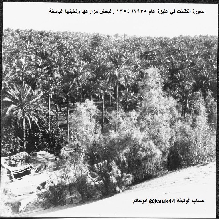 مزارع عنيزة ونخيلها في الثلاثينيات
